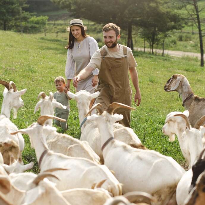 Fête de la transhumance à Florimont Gaumier