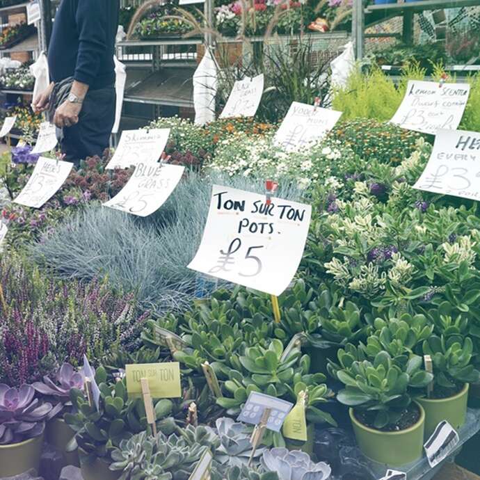 Terre en vert : Troc de plantes