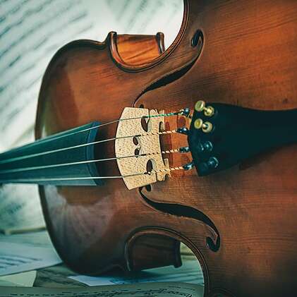 Arcades et la Halle musicale: Concert de violons, violoncelles  et piano