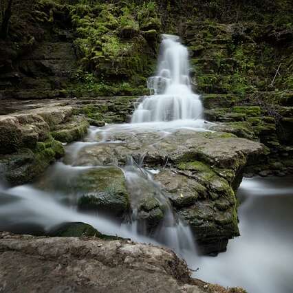 Comprendre la gestion et l'entretien des cours d'eau