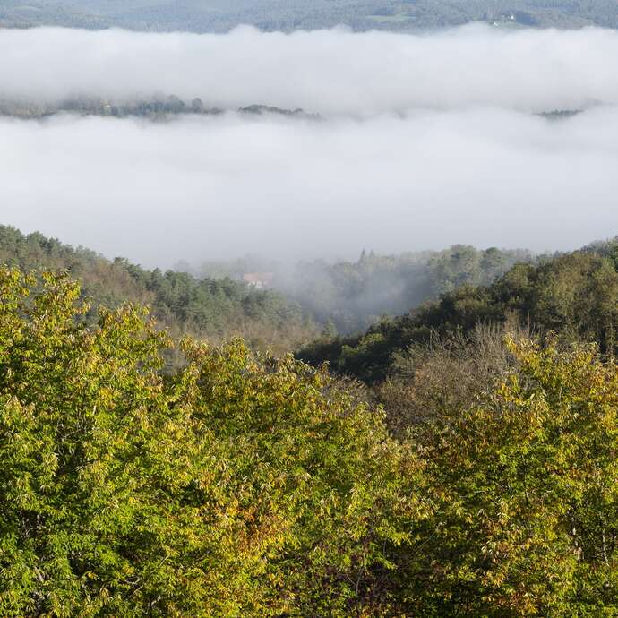 Conversation marchée et expérience sensorielle sur le paysage