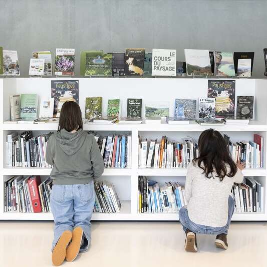 Rencontre dédicace : des livres à croquer