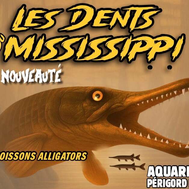 Aquarium du Périgord Noir - Univerland Le Bugue