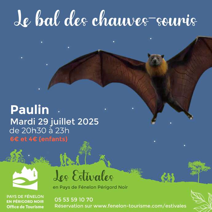 Les Estivales : Bal des chauves-souris à Paulin