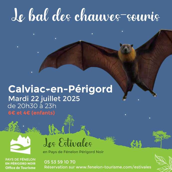 Les Estivales : Bal des chauves-souris à Calviac-en-Périgord