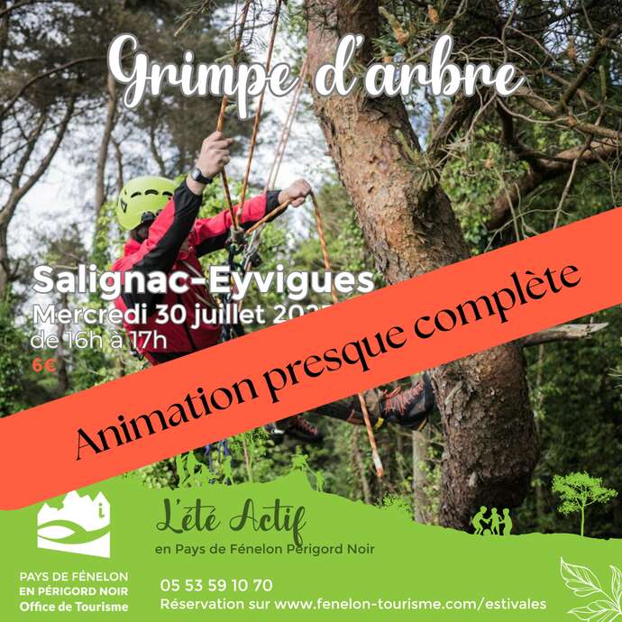 ÉTÉ ACTIF : Grimpe d'arbre à Salignac