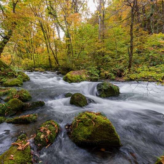 "L'eau dans tous ses états"