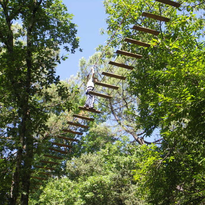La Forêt des Ecureuils