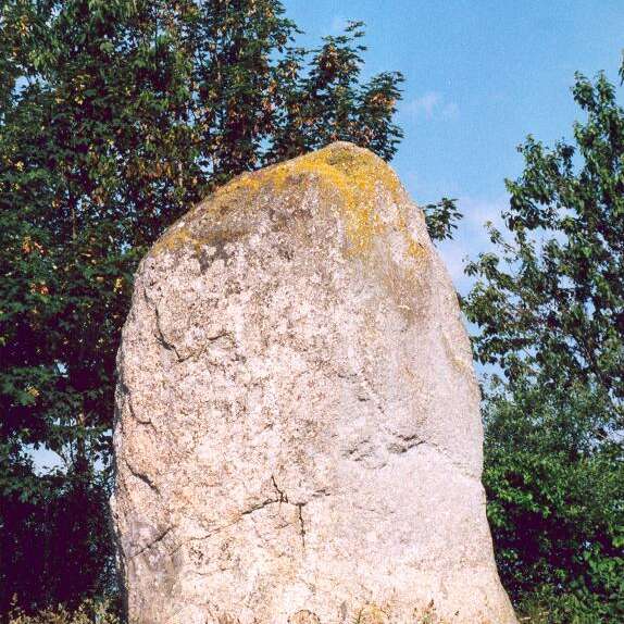 Menhirs du Drény