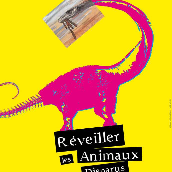 Exposition - “ Réveiller les animaux disparus " Sciences - Arts - Fiction
