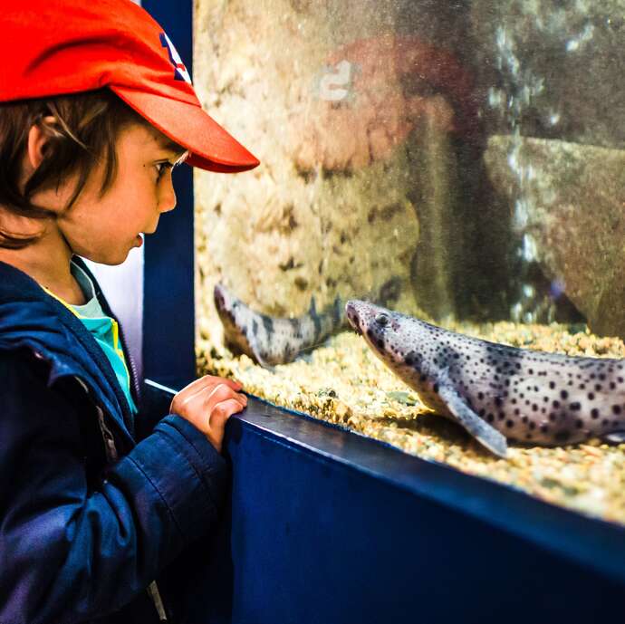 Aquarium Marin de Trégastel