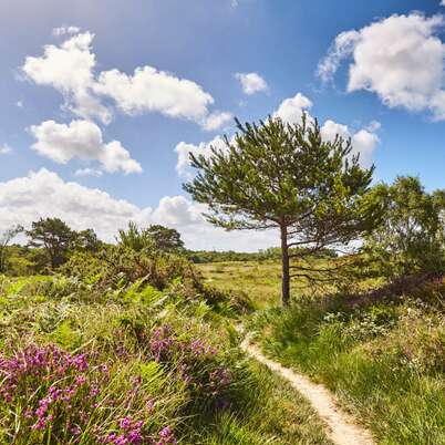05. Landes de la poterie - Journées européennes du patrimoine