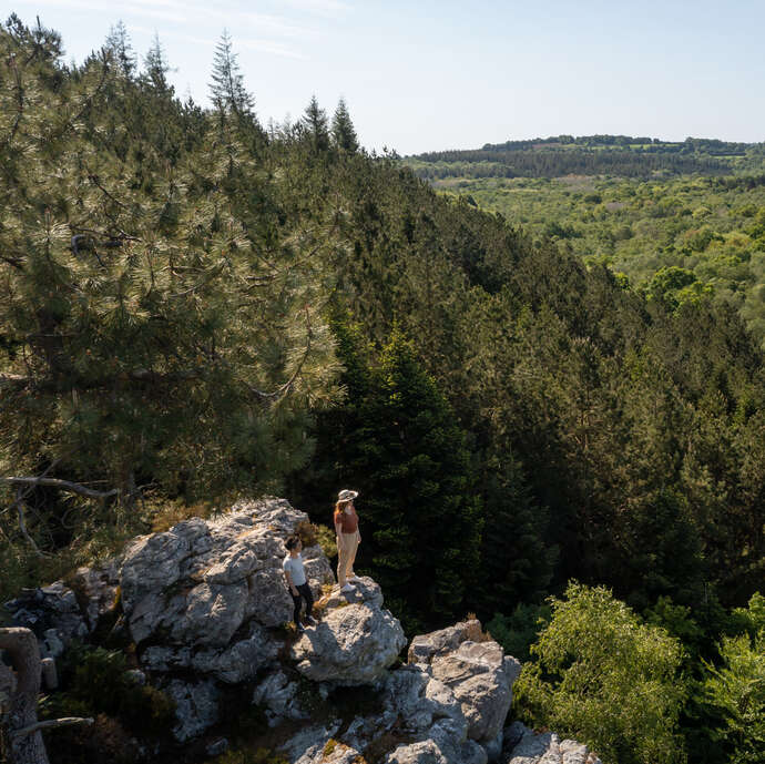 Forêt de Coat-an-Noz