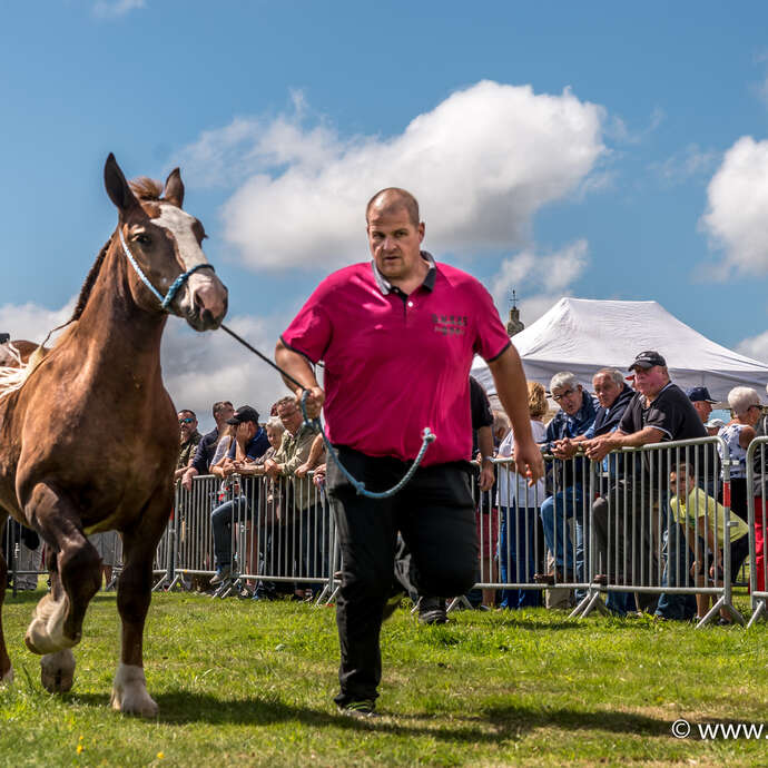 Foire du Menez Bré