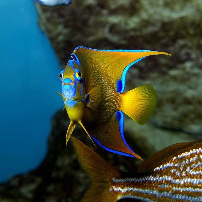 Grand Aquarium de Saint-Malo
