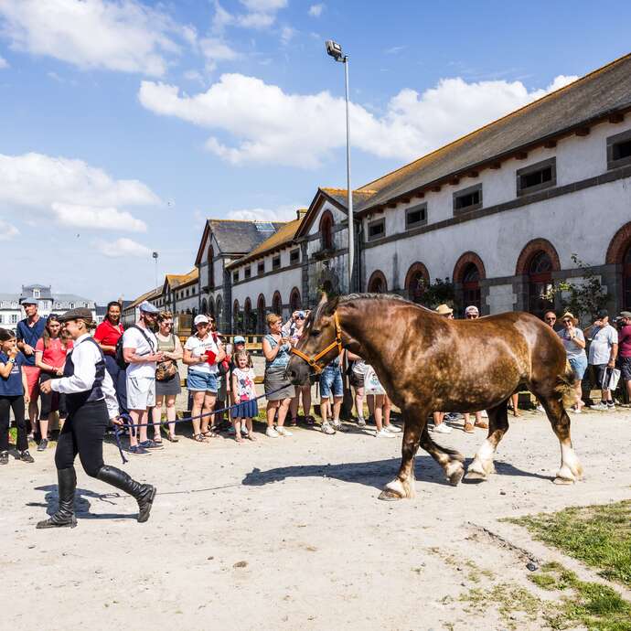 Haras National de Lamballe