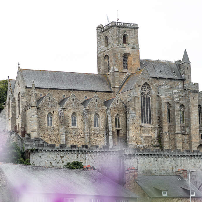 Collégiale Notre-Dame-de-Grande-Puissance