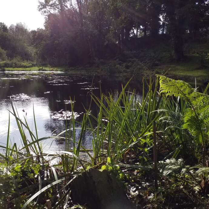 La Vallée des Bambous