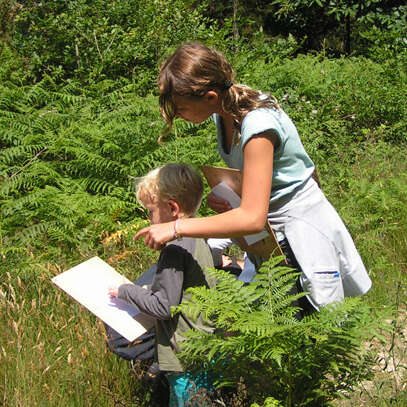 Enquête nature en forêt