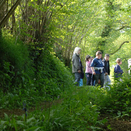 Centre de Découverte de la Forêt et du Bocage