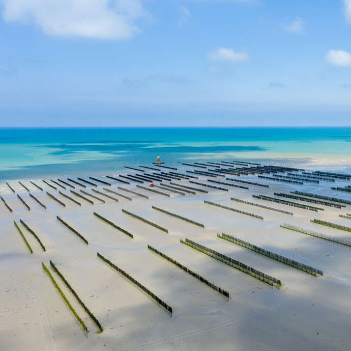 Parc à moules de bouchot, Société Nouvelle Mytilus