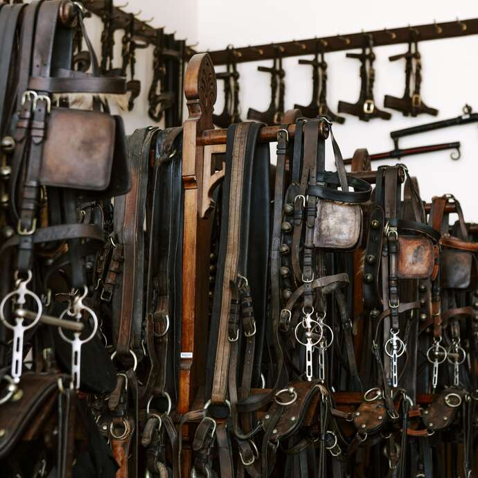 200 ans du Haras : Visites “Métiers et Savoir-faire”