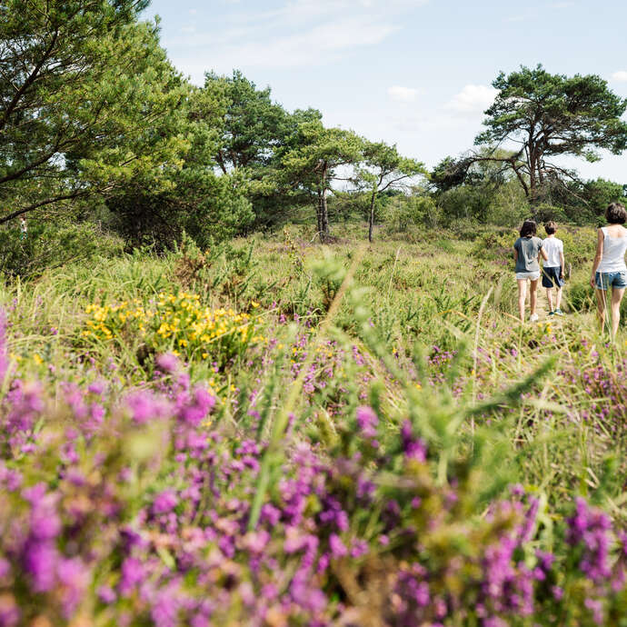 Landes de La Poterie