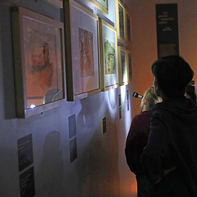 Effraction au musée ! Quand la visite devient enquête
