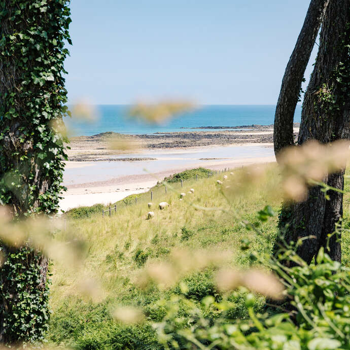 Plage sauvage du Guen