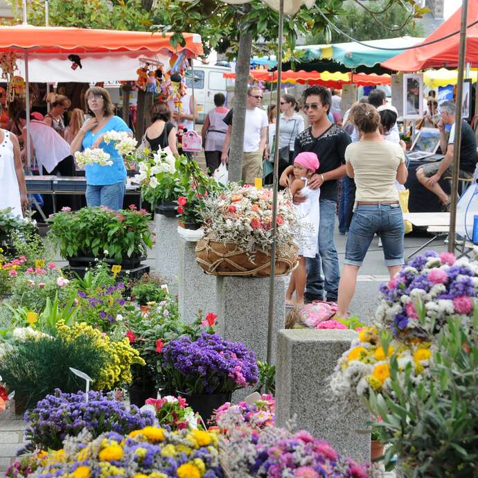 Marché de Pléneuf