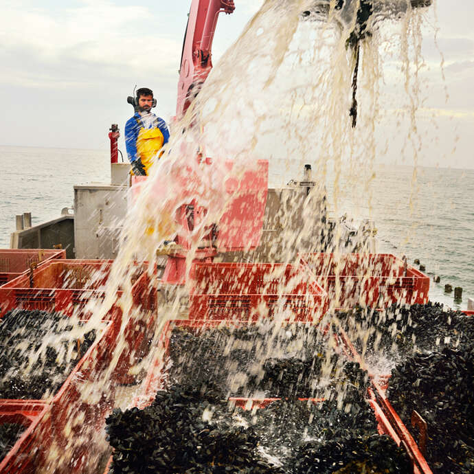 SARL Desbois Les viviers marins d’Armor