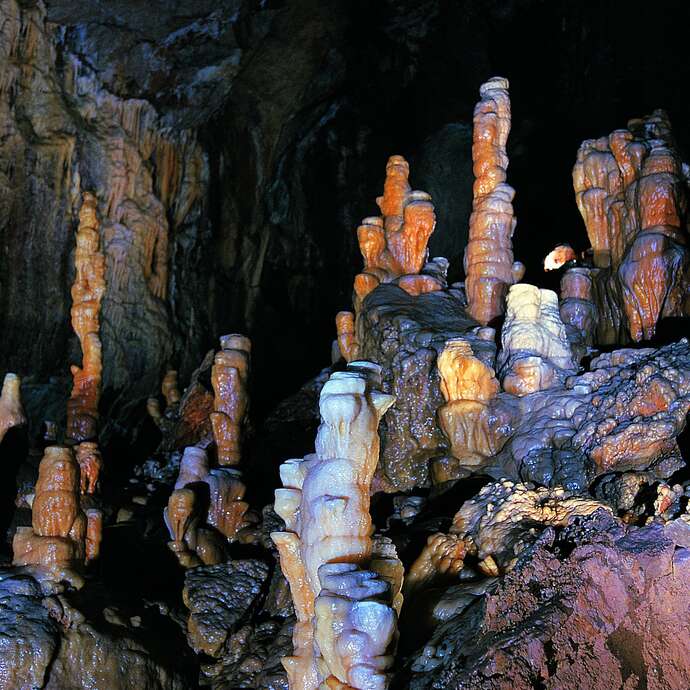 DARGILAN CAVE DARGILAN CAVE