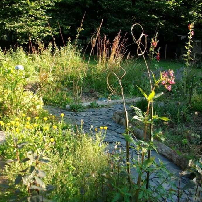 Des Graines et des Brouettes