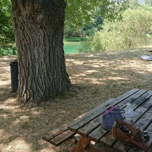 Aire de pique-nique de Mostuéjouls