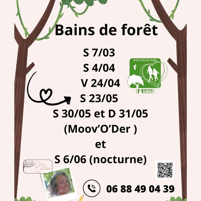Bain de forêt avec Chez Caroline Sophro