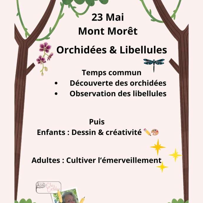 Animation nature famille