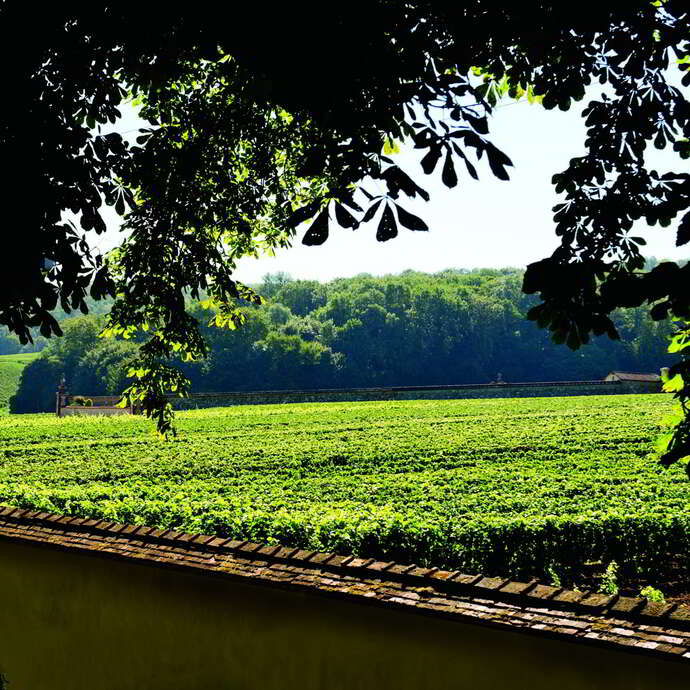 Maison de Champagne Canard-Duchêne