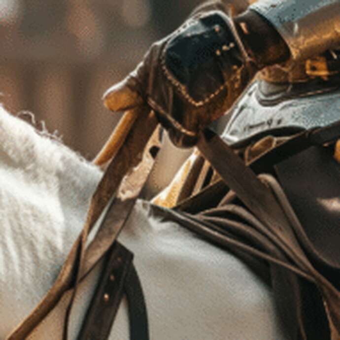 Le Banquet des Légendes : Dîner spectacle interactif