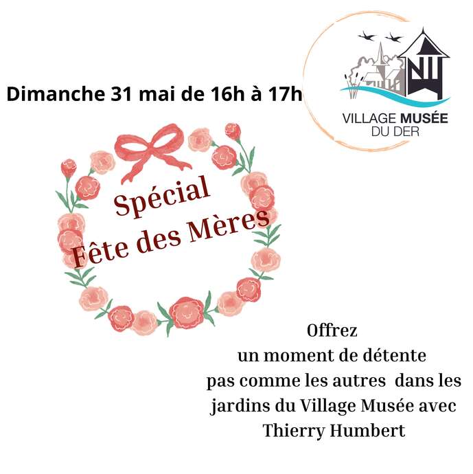 Cours de Qi Qong -  Spécial Fête des Mères