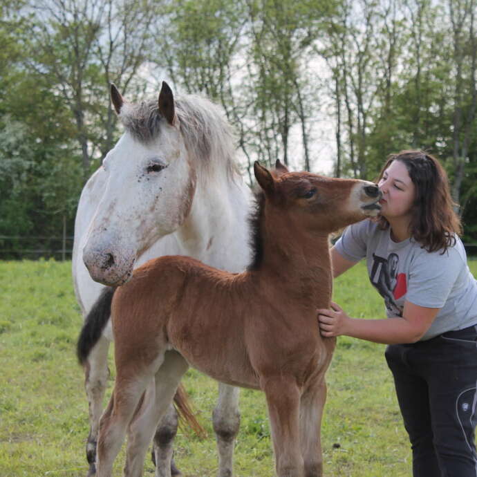 Escapades : Découverte des animaux de la ferme Du Ranch du Pont urgin
