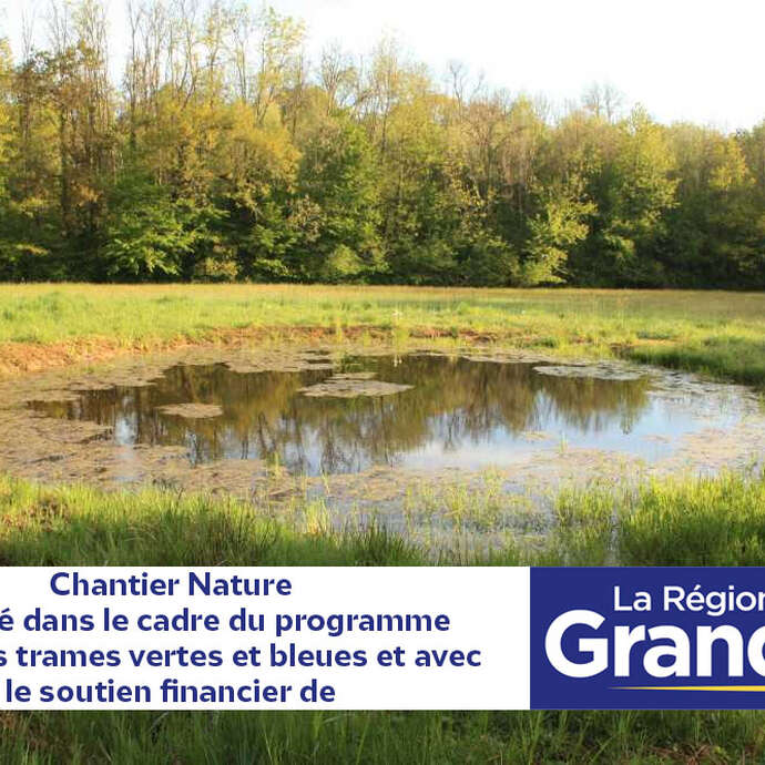 Chantier restauration de la mare de l'école à Saint-Rémy-en-Bouzemont