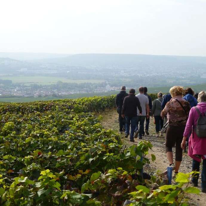 Le Sentier du Vigneron
