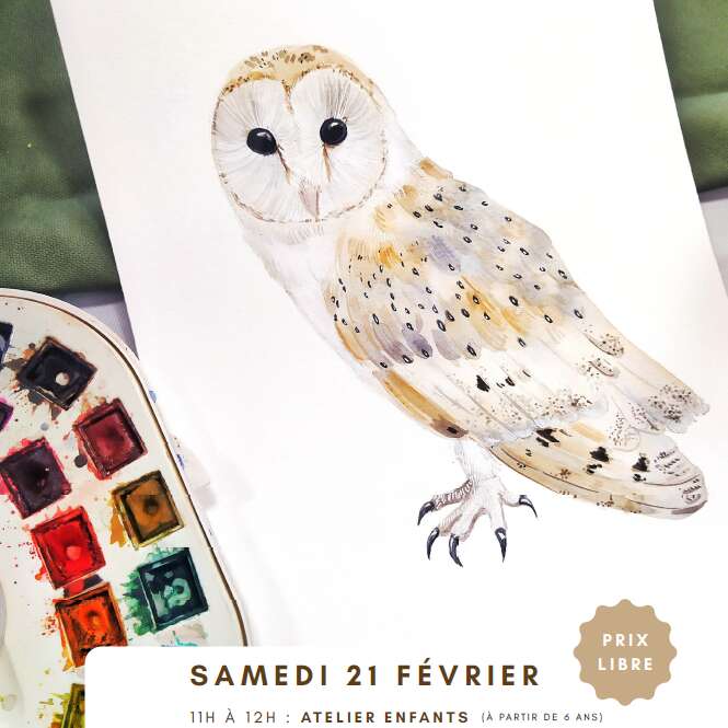 Ateliers d'initiation à l'illustration animalière