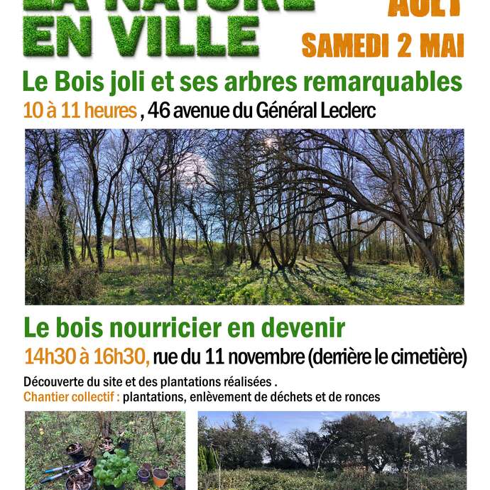 Visite du bois nourricier en devenir