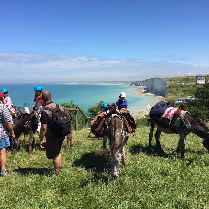 Rando'Ânes au Bois de Cise