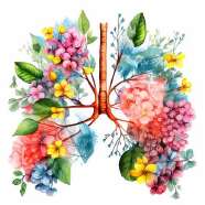 Sophrologie - Yoga - Méditation