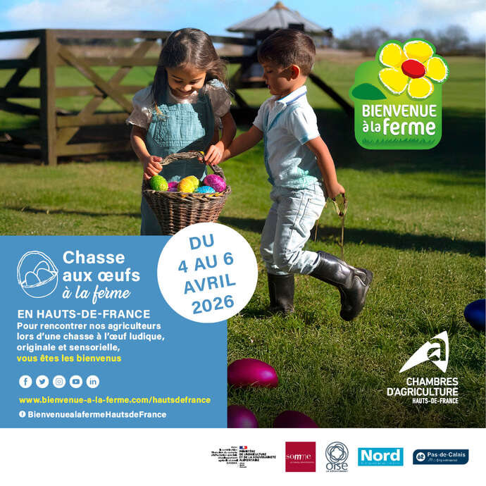 Chasse aux oeufs