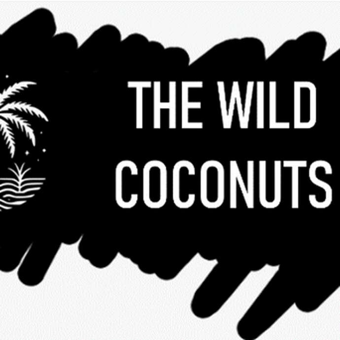 Scène d'Été au quartier balnéaire d'Onival : The Wild Coconuts