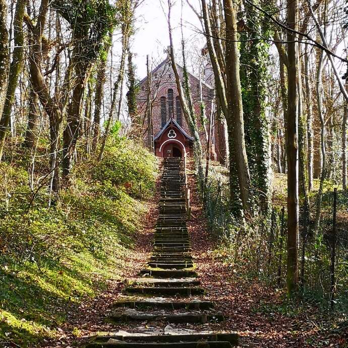 Focus sur le bois de Cise, une station balnéaire entre terre et mer
