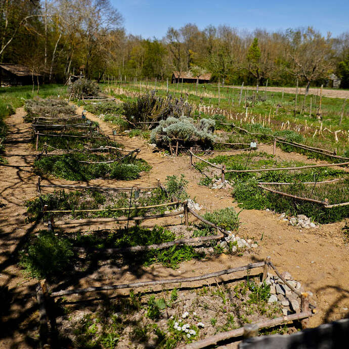 Rendez-vous nature : Secrets et vertus des plantes